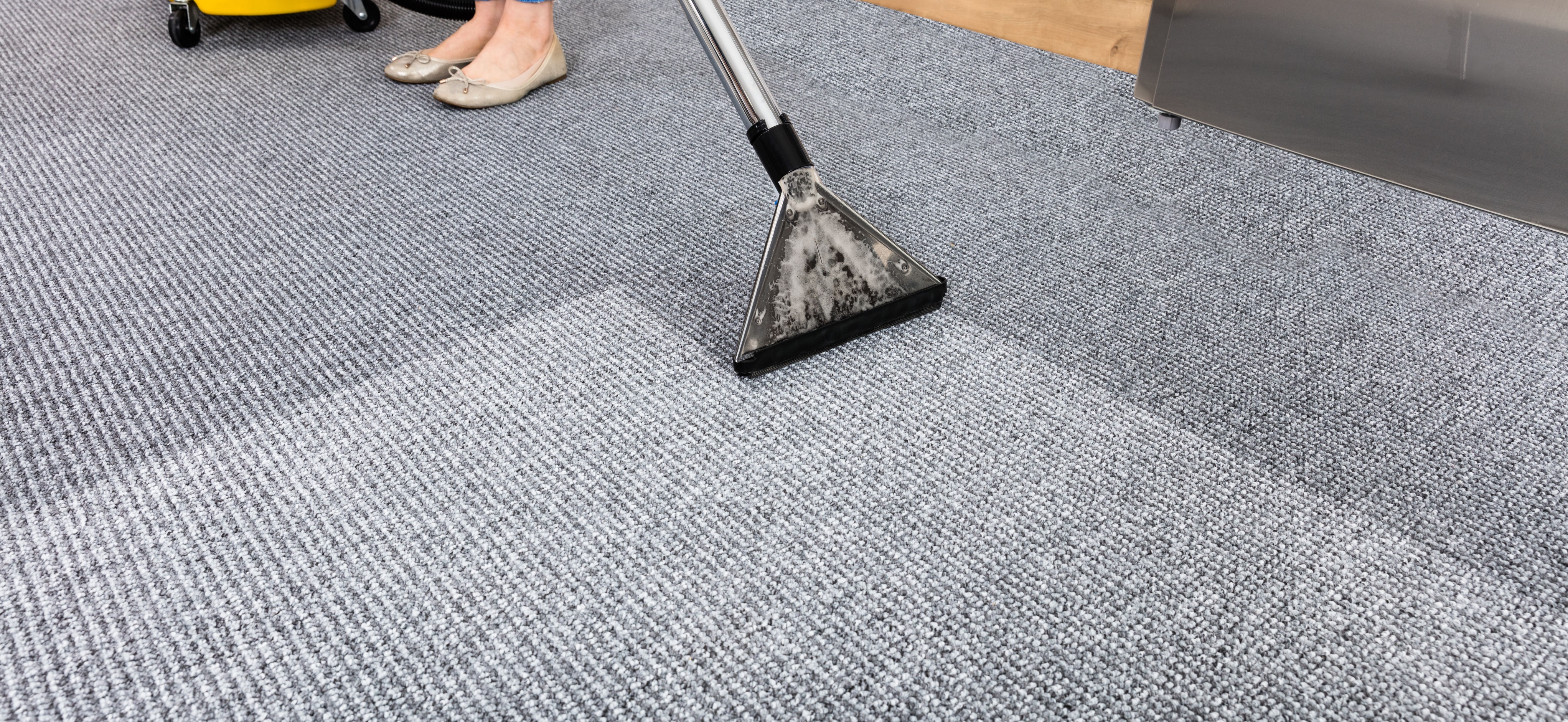 Professional carpet cleaning services